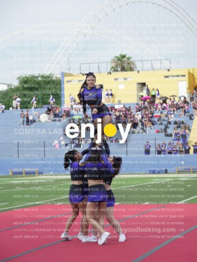 Vixra Joy03820 Compressed
