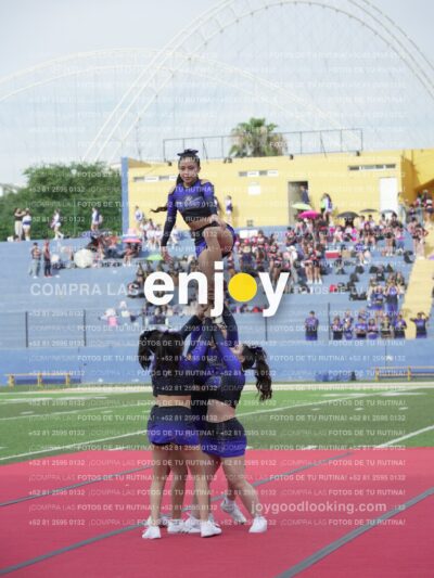 Vixra Joy03821 Compressed