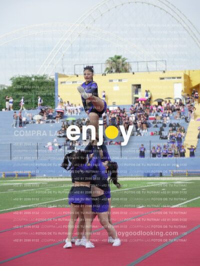 Vixra Joy03822 Compressed