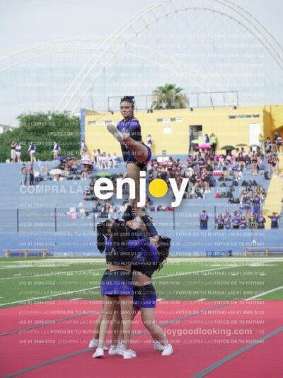 Vixra Joy03823 Compressed