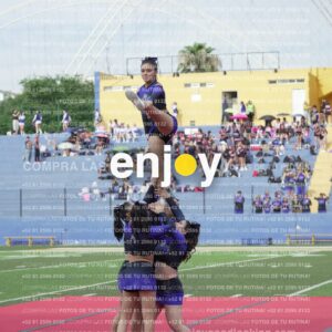 Vixra Joy03823 Compressed