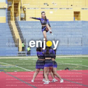 Vixra Joy03826 Compressed