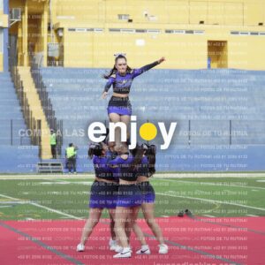 Vixra Joy03828 Compressed