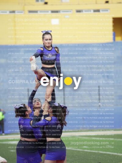 Vixra Joy03829 Compressed