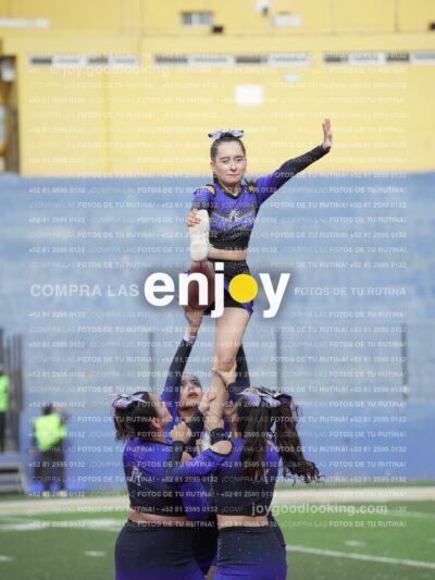 Vixra Joy03830 Compressed