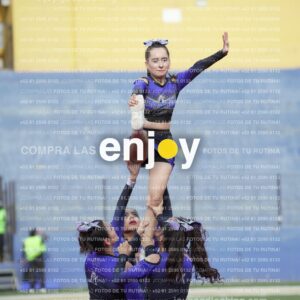 Vixra Joy03830 Compressed