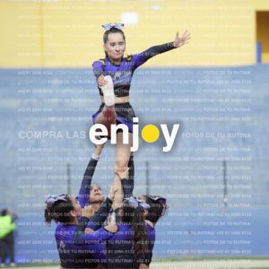 Vixra Joy03831 Compressed