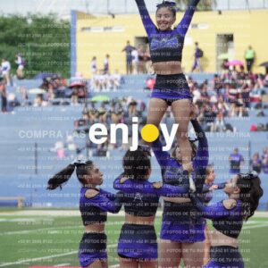 Vixra Joy03834 Compressed