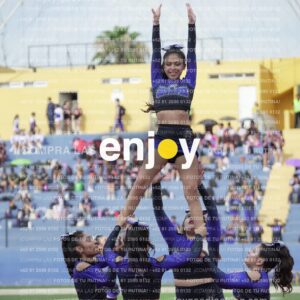 Vixra Joy03837 Compressed