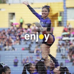 Vixra Joy03843 Compressed