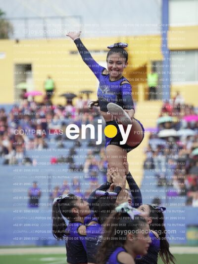 Vixra Joy03844 Compressed