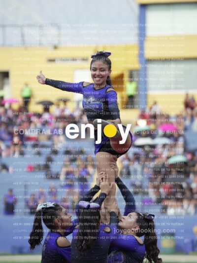 Vixra Joy03846 Compressed