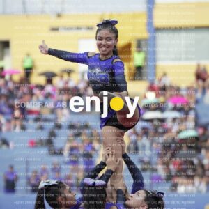 Vixra Joy03846 Compressed