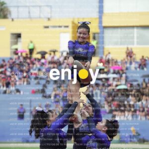 Vixra Joy03848 Compressed