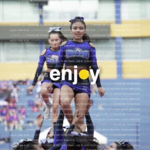 Vixra Joy03849 Compressed