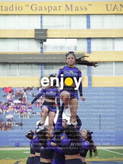 Vixra Joy03850 Compressed