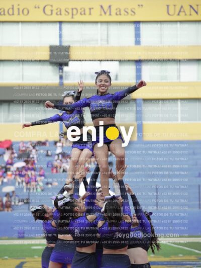 Vixra Joy03851 Compressed