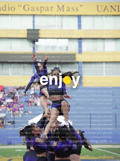 Vixra Joy03852 Compressed