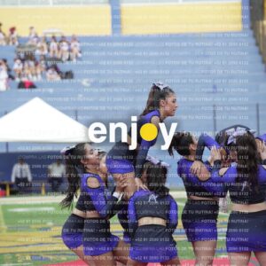 Vixra Joy03866 Compressed