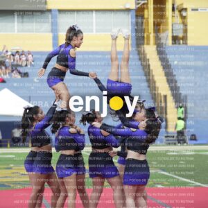 Vixra Joy03879 Compressed
