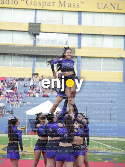 Vixra Joy03886 Compressed