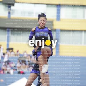 Vixra Joy03891 Compressed