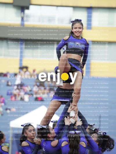 Vixra Joy03896 Compressed