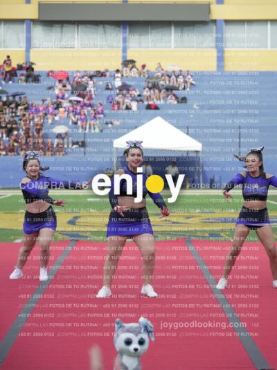 Vixra Joy03909 Compressed