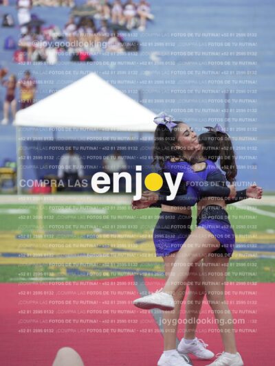 Vixra Joy03917 Compressed