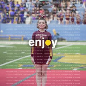 Vixra Joy03920 Compressed