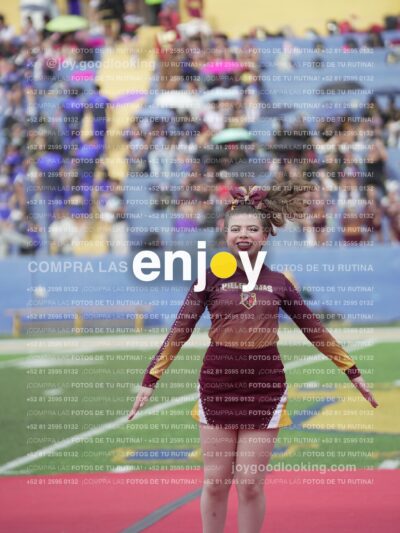 Vixra Joy03921 Compressed