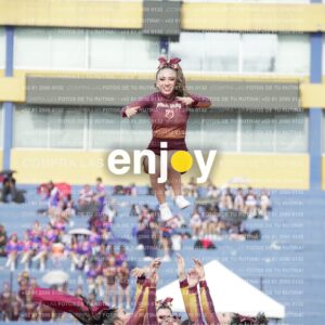 Vixra Joy03922 Compressed