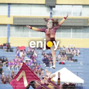 Vixra Joy03925 Compressed