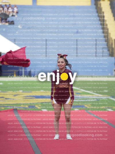 Vixra Joy03927 Compressed