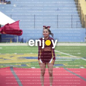 Vixra Joy03927 Compressed