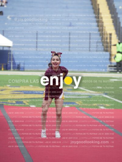 Vixra Joy03929 Compressed