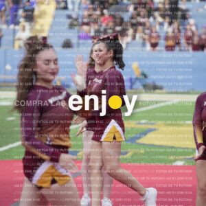 Vixra Joy03930 Compressed