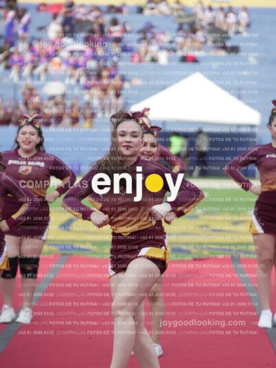 Vixra Joy03931 Compressed