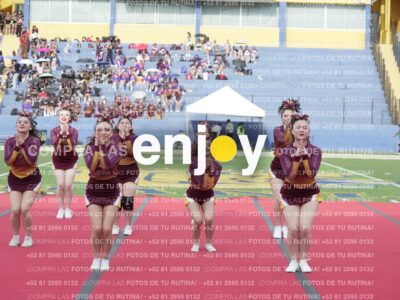 Vixra Joy03940 Compressed