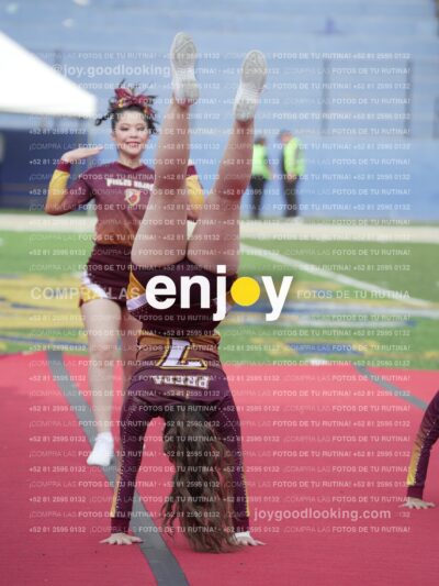 Vixra Joy03950 Compressed