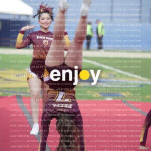 Vixra Joy03950 Compressed