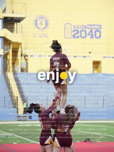 Vixra Joy03954 Compressed