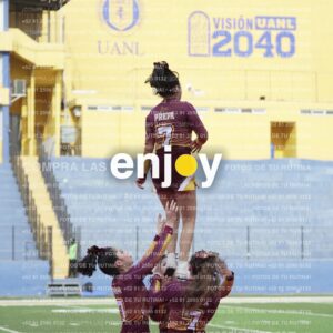 Vixra Joy03954 Compressed