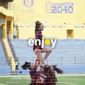 Vixra Joy03955 Compressed