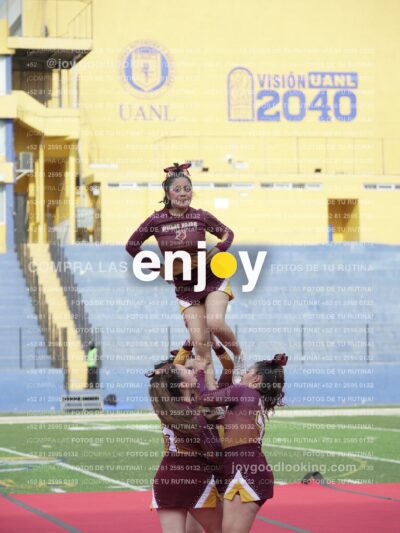 Vixra Joy03956 Compressed