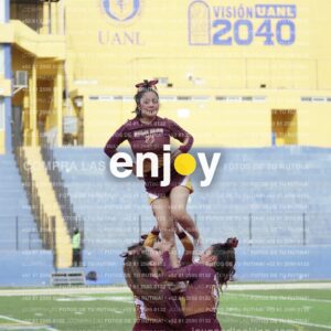 Vixra Joy03956 Compressed