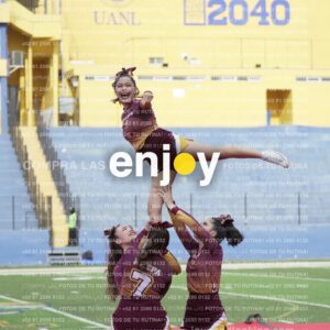 Vixra Joy03958 Compressed