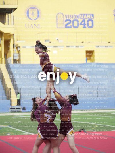 Vixra Joy03959 Compressed