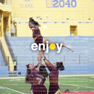 Vixra Joy03959 Compressed