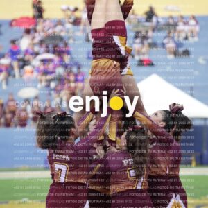 Vixra Joy03970 Compressed